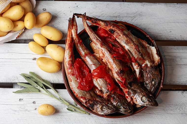 ים של דגים – פרק 4: בריכות הדגים בלב ים באשדוד