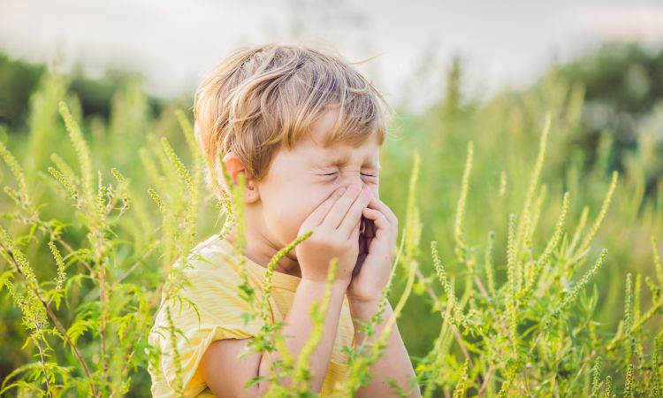 רופא הילדים מסביר: איך בודקים אלרגיה והאם יש בזה סיכון?