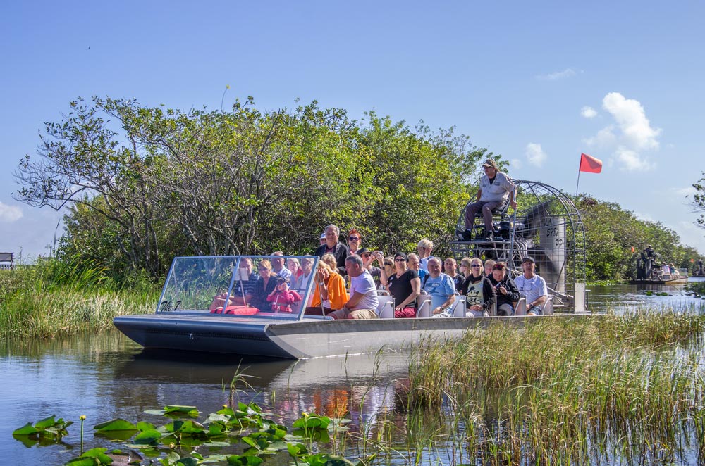 פלורידה עם ילדים: הארי פוטר וספארי ביצות